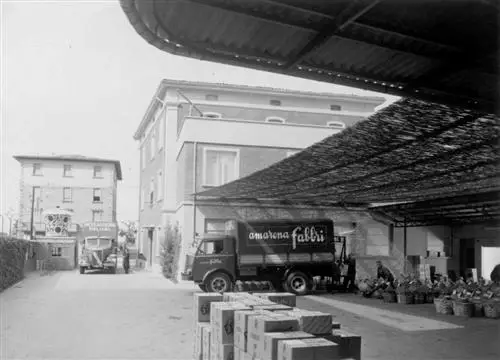 Historien om Amarena Fabbri