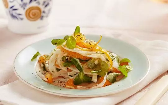 Salat af appelsin, fennikel og Fabbri Ingefær